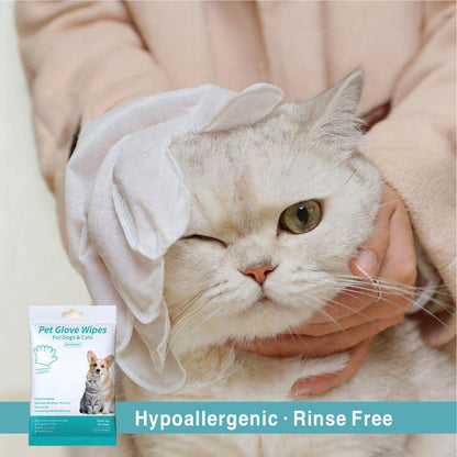 Orofera®🧤Pet Wipe Gloves-upsell