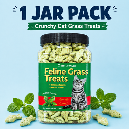 Crunchy Cat Treats for Hairball Control & Digestive Health-副本