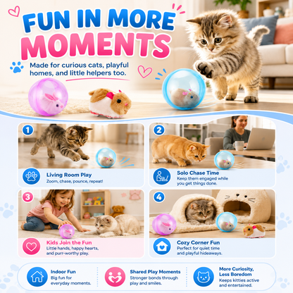 Orofera® 🐈🪀 Self-Rolling Interactive Cat Ball