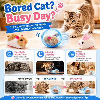 Orofera® 🐈🪀 Self-Rolling Interactive Cat Ball