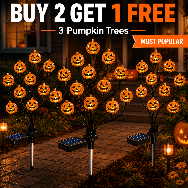 🔥 BUY 2 GET 1 FREE