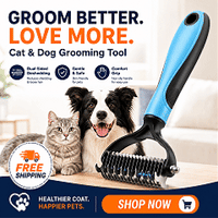 Grooming Tool-BLUE